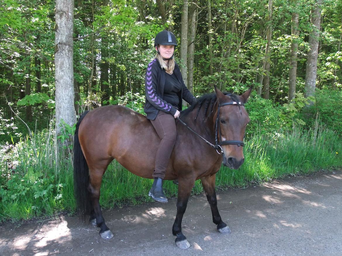 New Forest Cayenne  - Elsker den pony mere end noget andet! Snart et år sammen <3 billede 7