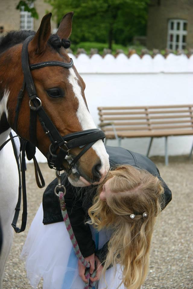 Anden særlig race Strit - Han er så sød <3 billede 8