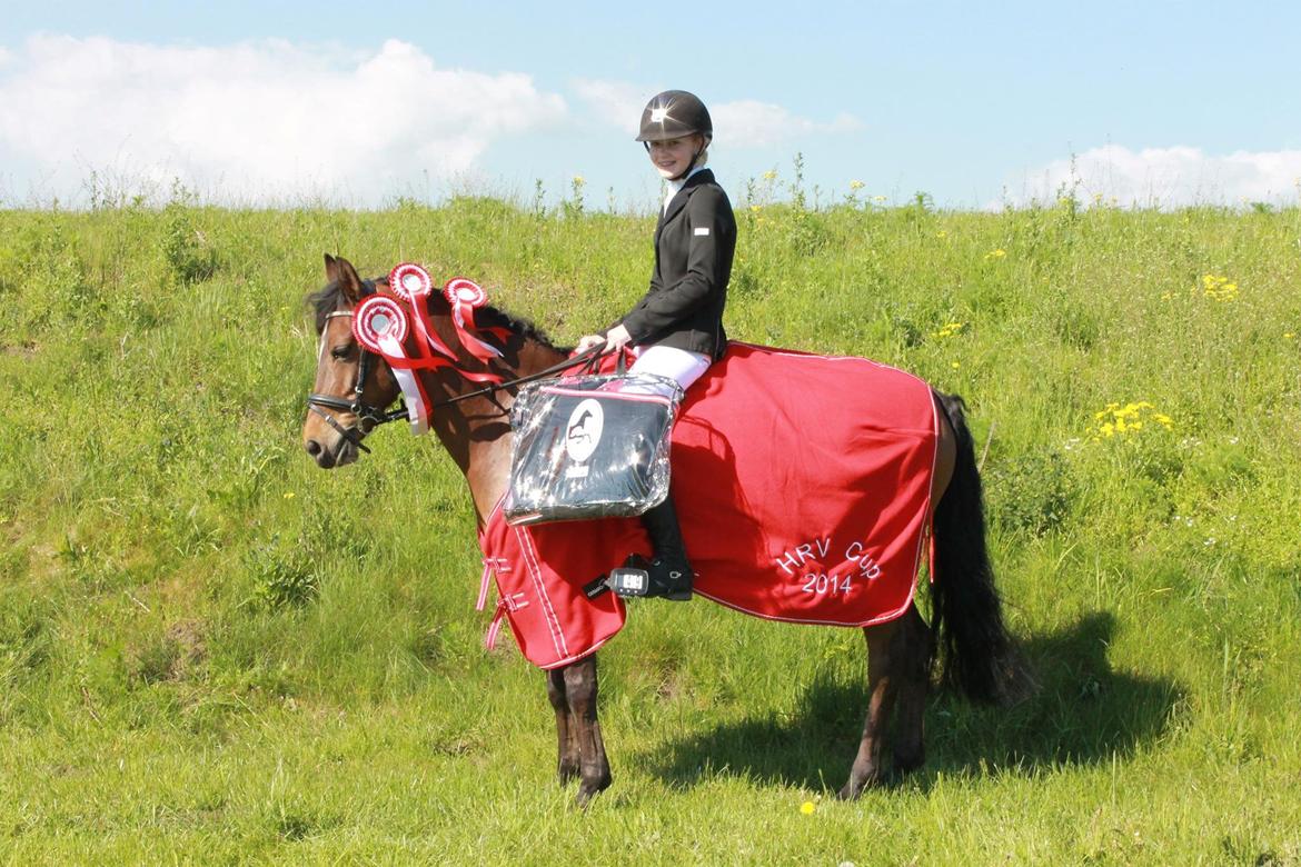 Anden særlig race Coco  - Vinder af Lb1, Lb2 og sørme også vinder af HRV CUP 2014 med en føring på hele 17.5 point! Sejeste poniiiiie! <33 billede 1