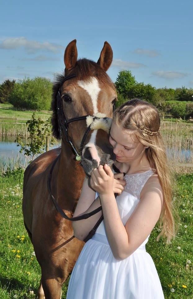 New Forest BØGELYS BØG - Bøg til min konfirmation D. 16 maj 2014 <3 billede 26