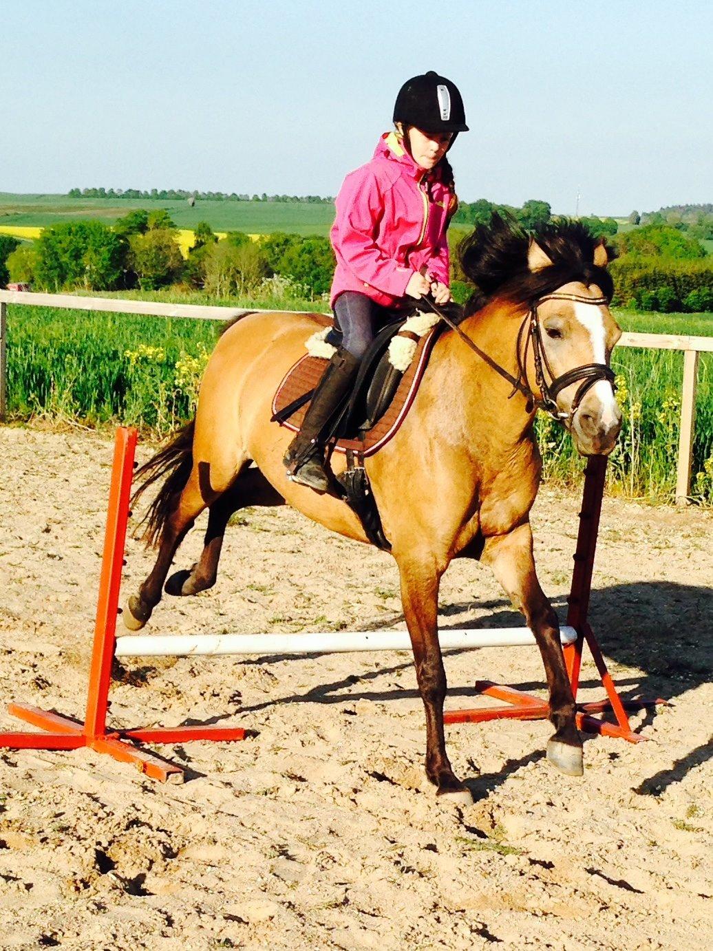 Anden særlig race Damgårds Maggie billede 16