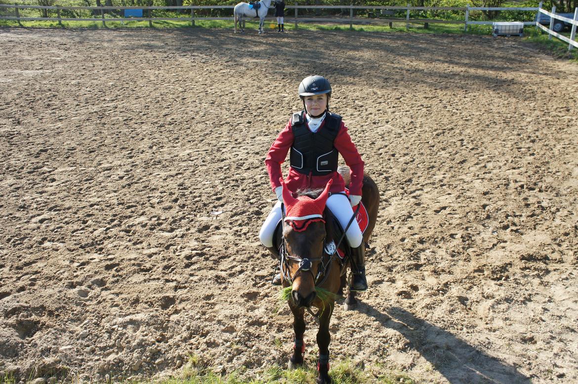 Anden særlig race Romze - Vi hygger mellem de 2 klasser til C-Stævne i KER billede 19