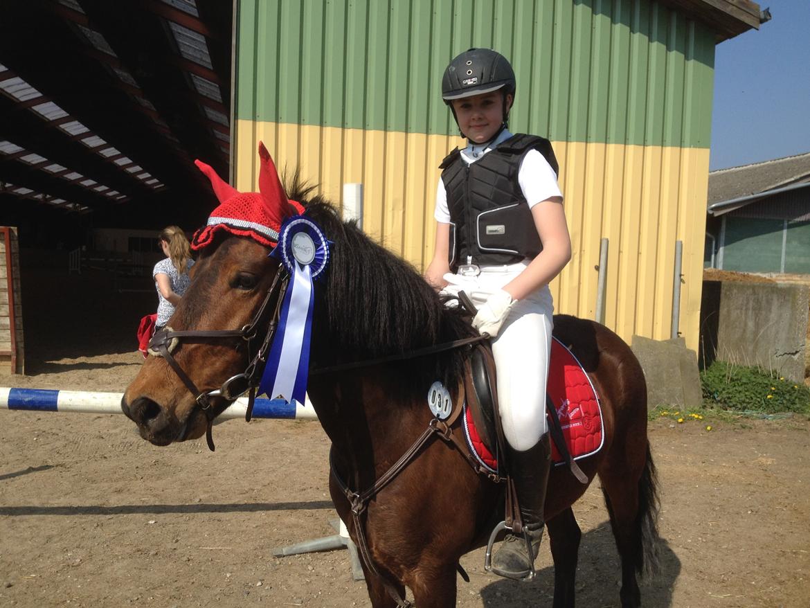 Anden særlig race Romze - 2. plads i SMIR billede 23