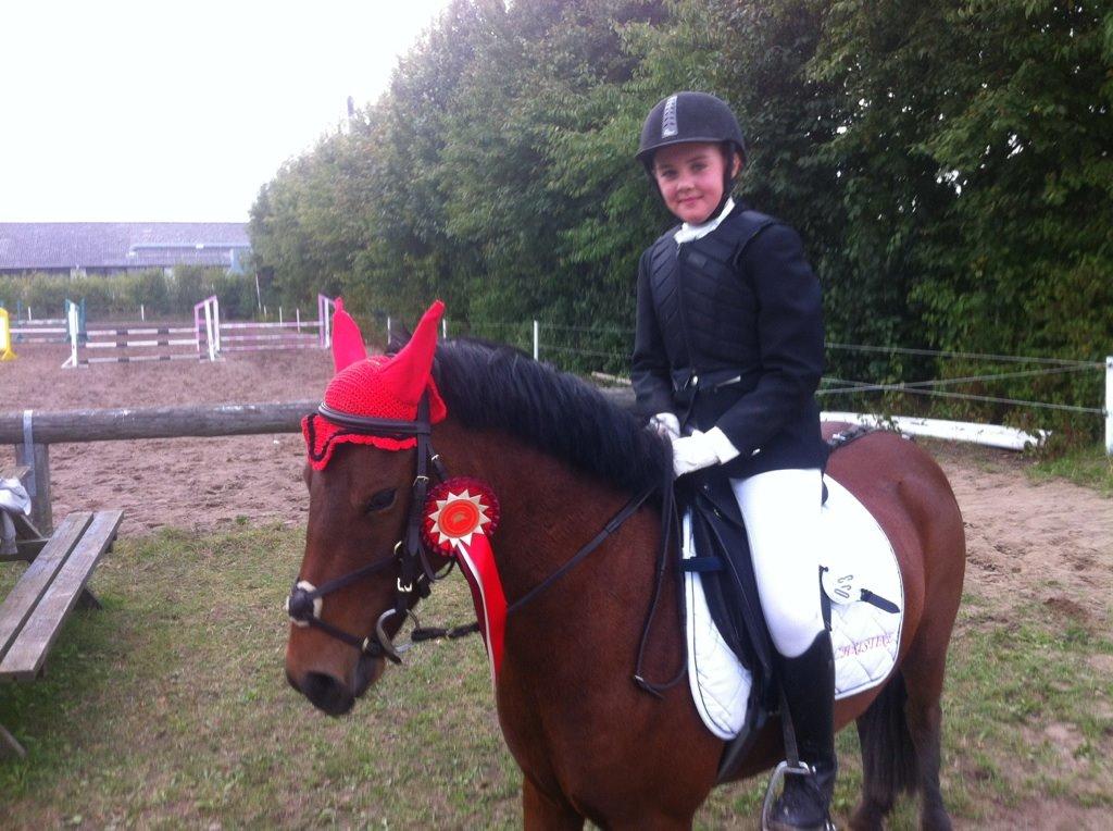 Anden særlig race Romze - Stævne i KRI billede 26