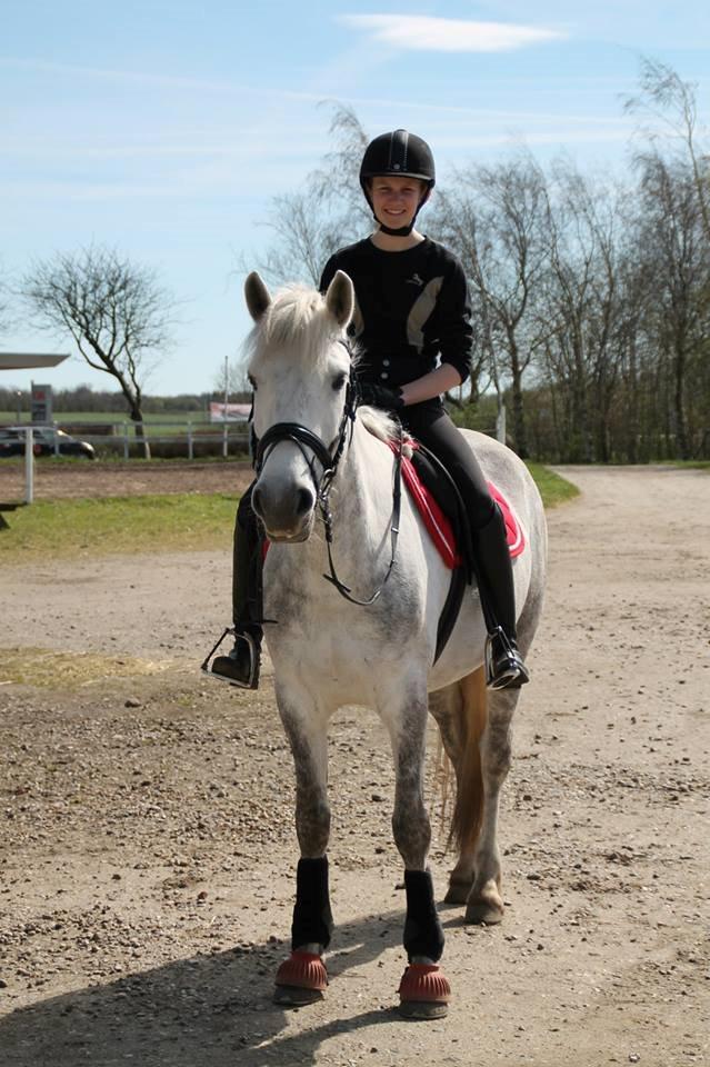 Connemara Drummond Laura billede 7