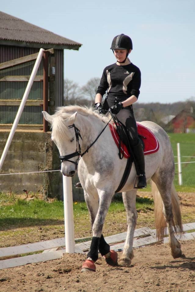 Connemara Drummond Laura billede 6