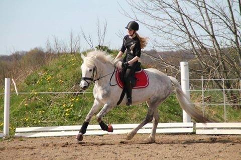 Connemara Drummond Laura billede 13