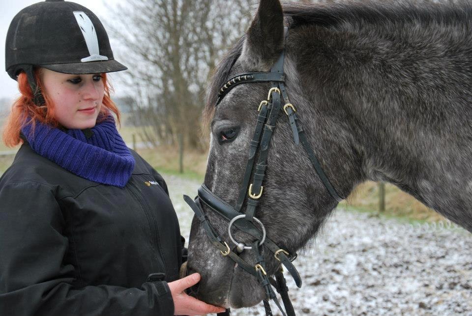 Knabstrupper elmelunds lua lani solgt billede 18