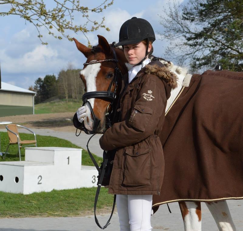 Pinto Svalebos Leonardo (B-pony) billede 5