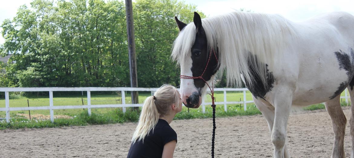 Tinker Malu - Sommer 2014. mit lys billede 20