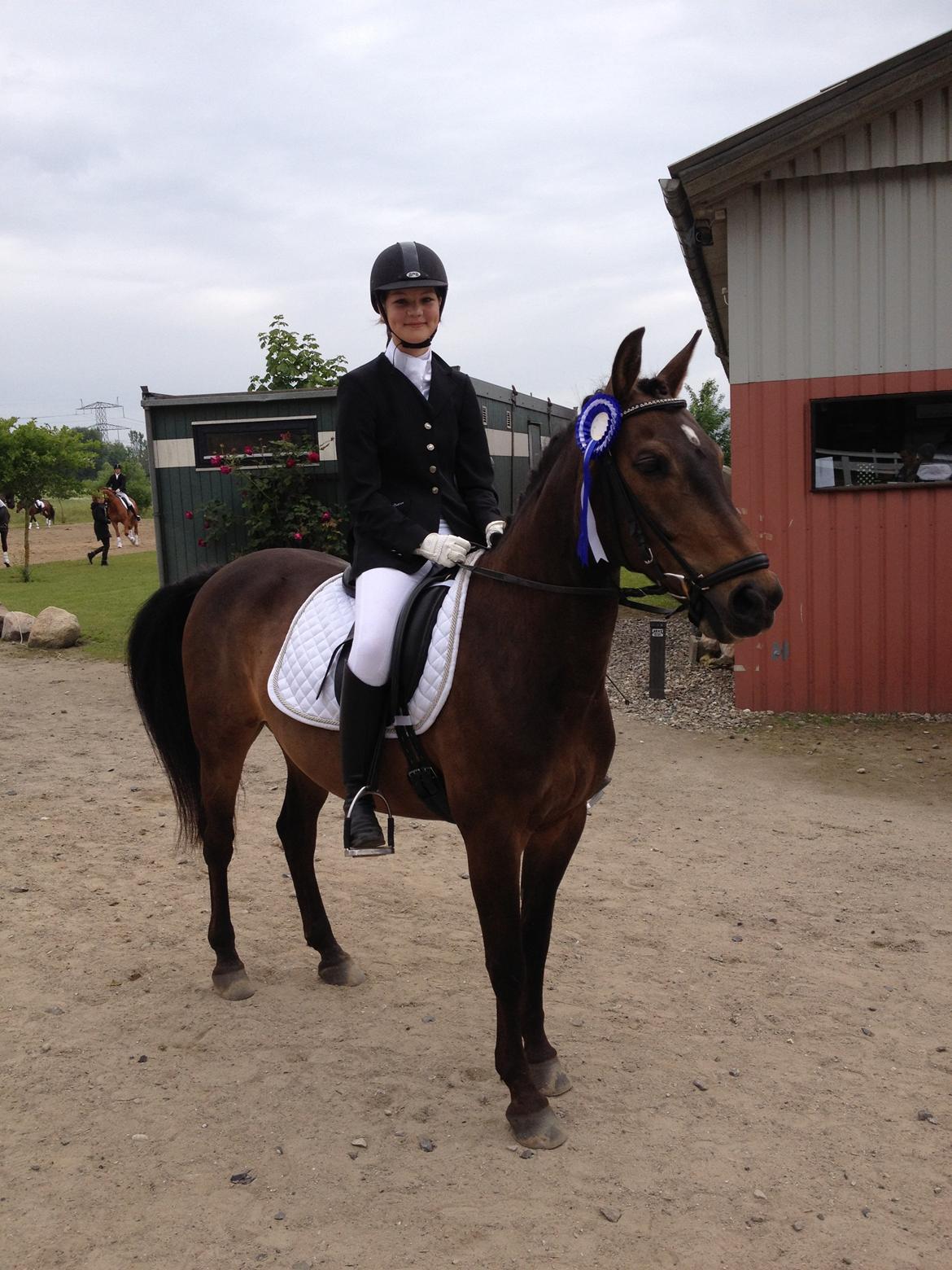 Anden særlig race Andriano billede 13