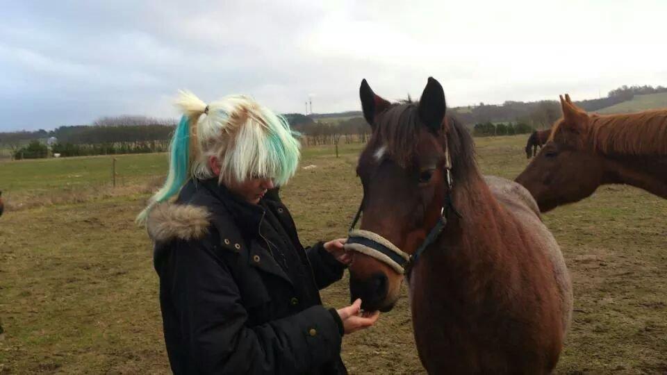 Anden særlig race Vestervangs Candy'floss billede 13