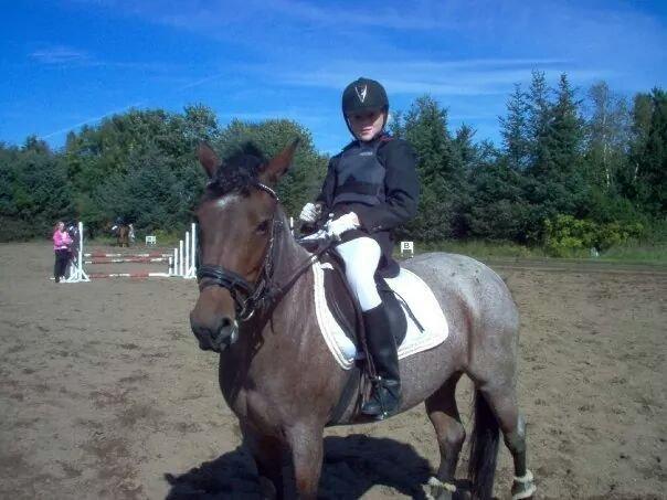 Anden særlig race Vestervangs Candy'floss billede 17