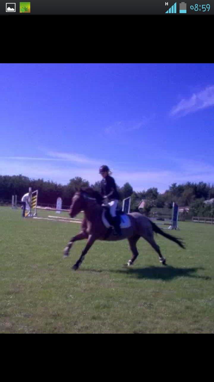 Anden særlig race Vestervangs Candy'floss billede 18