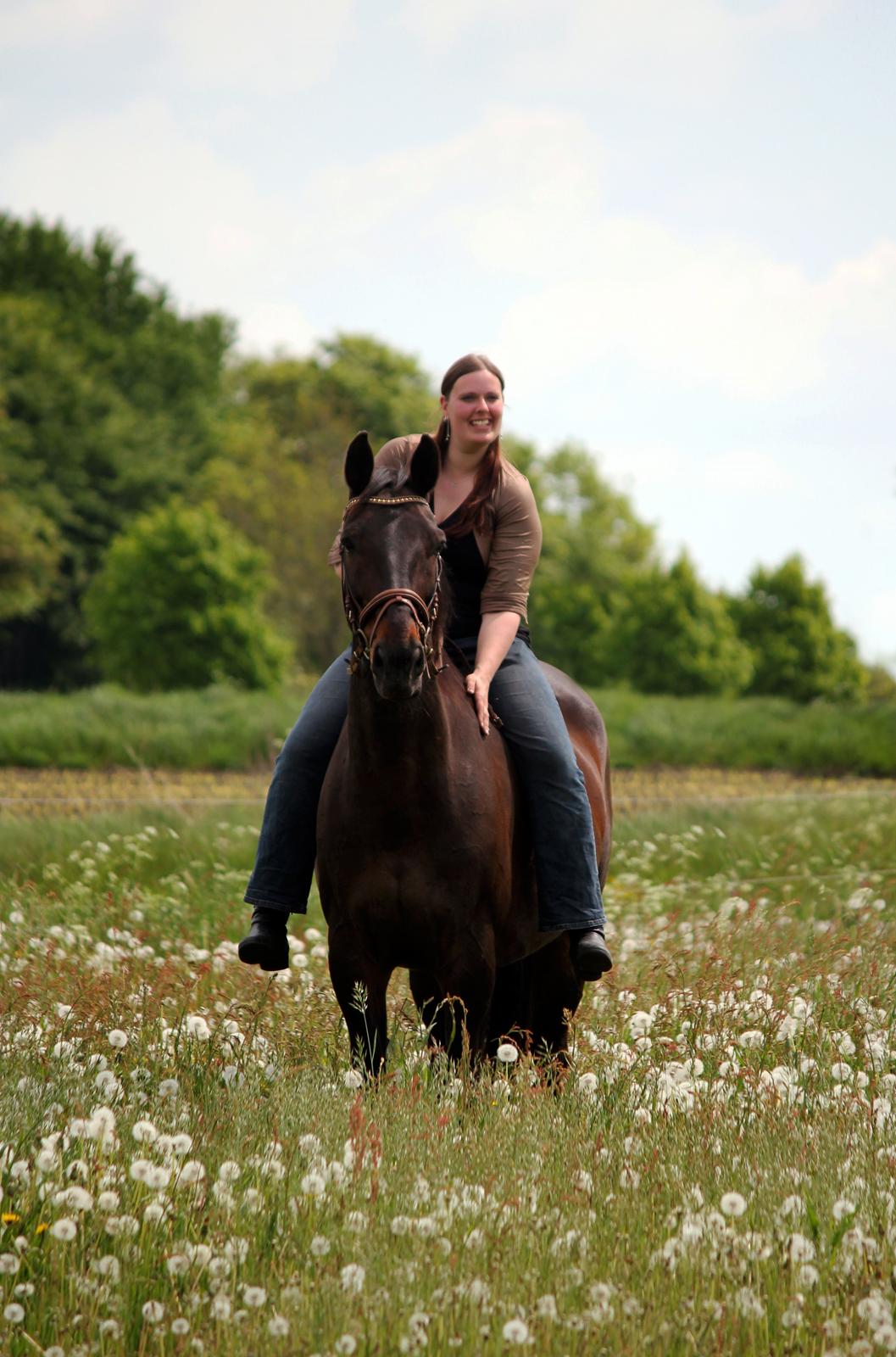 Oldenborg Skjaldhøj Tobias (Min Soulmate) *Højt elsket* - NYT: Der er ingen som Tubbe <3 billede 19