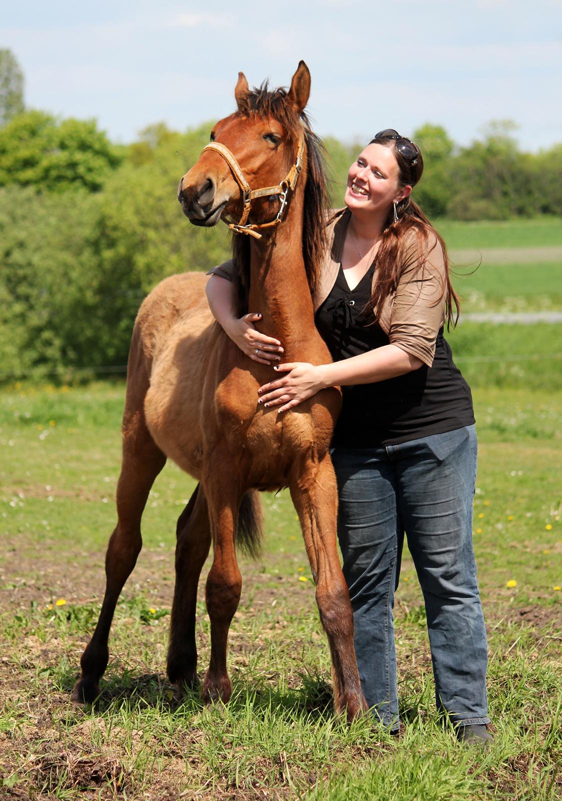 Dansk Varmblod Angel of music (SOLGT) *For evigt elsket <3* - Store pige :) billede 40