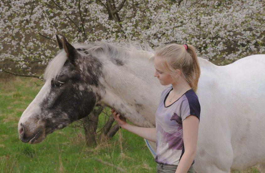 Anden særlig race Rockie billede 7