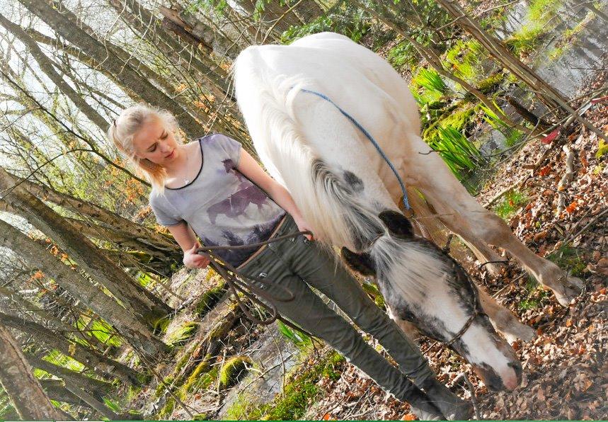 Anden særlig race Rockie - Babbby <3 billede 1