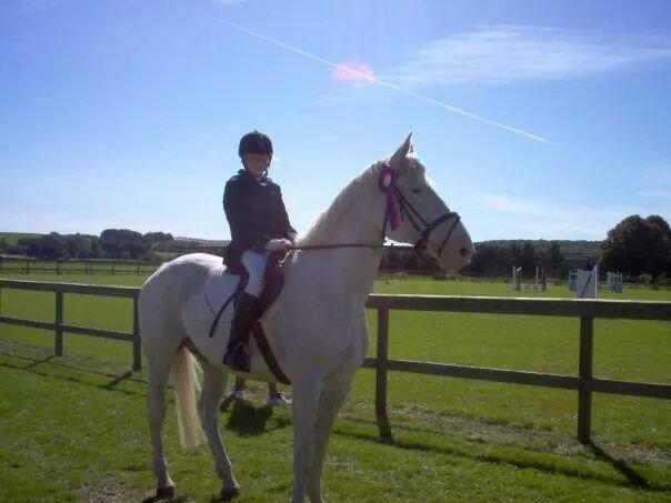 Knabstrupper Coco (SOLGT) billede 4