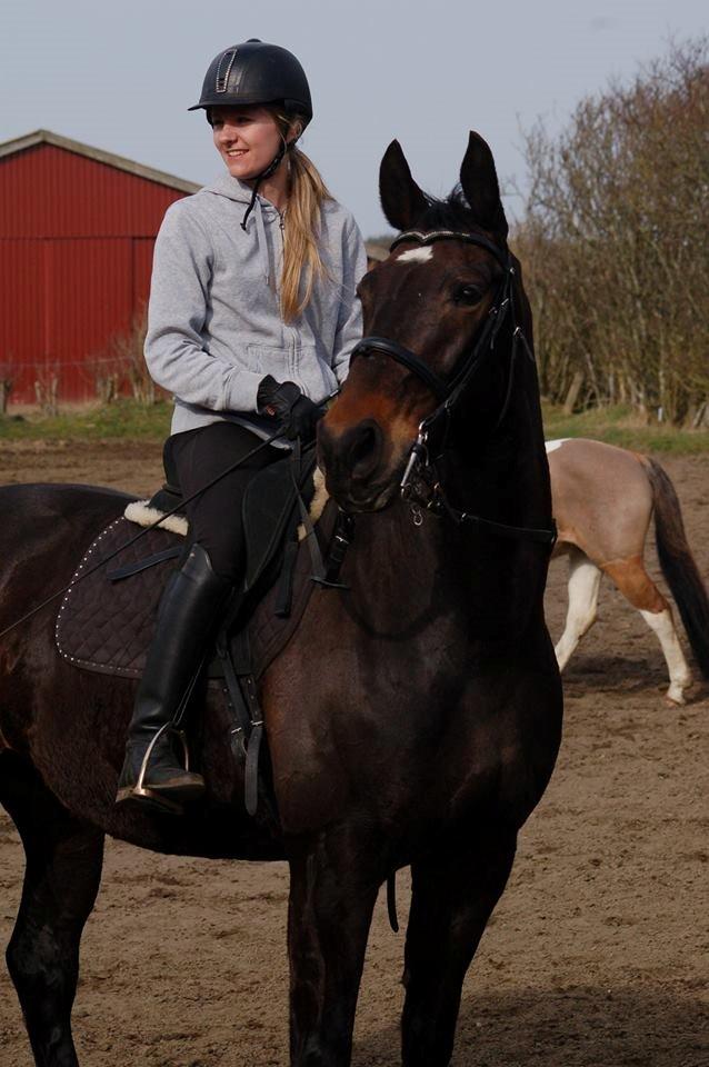 Anden særlig race Freja billede 2