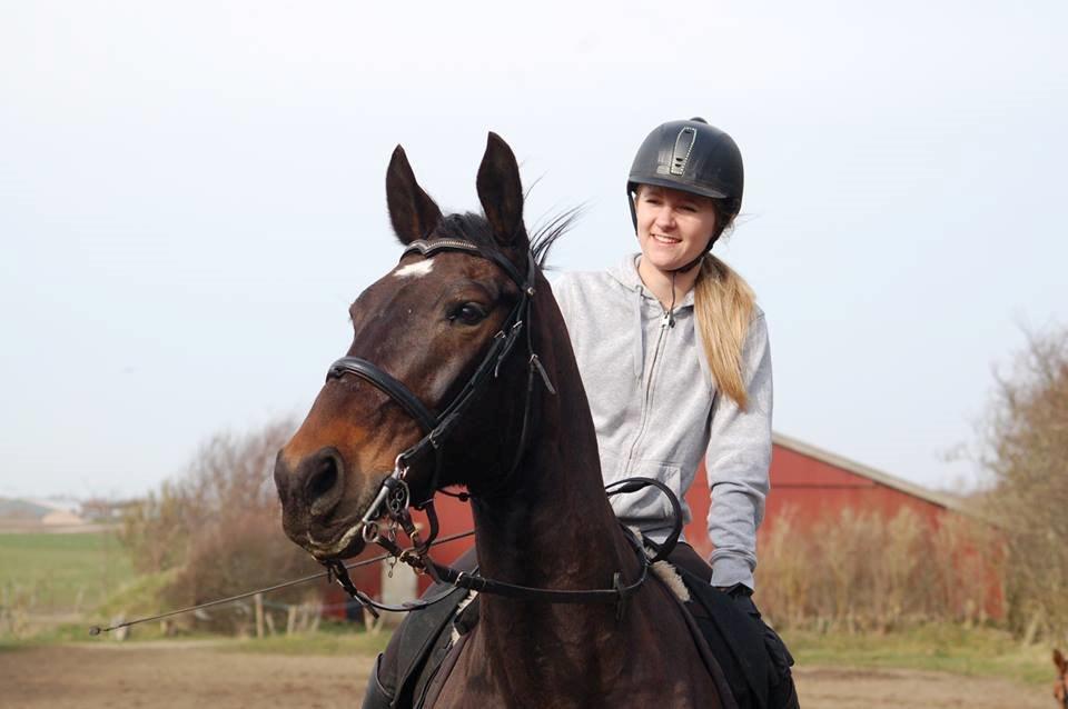 Anden særlig race Freja billede 12