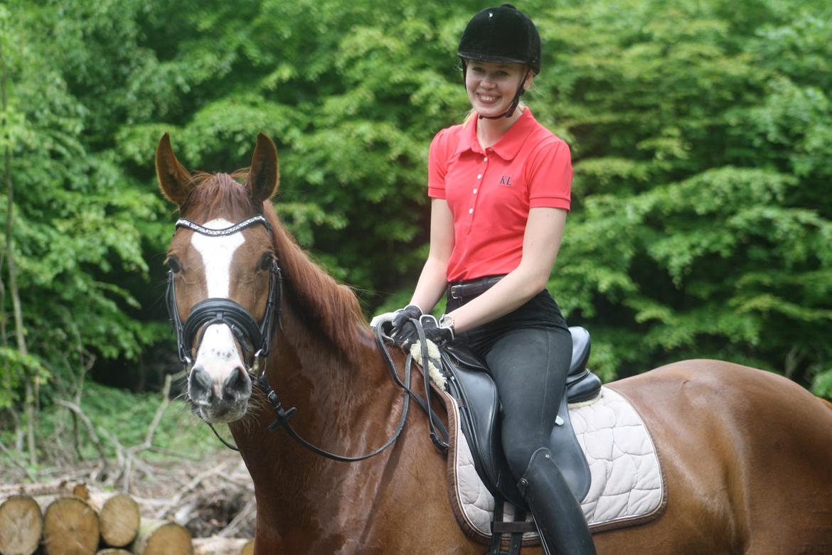 Dansk Varmblod Dia-Lotto Landlyst billede 21