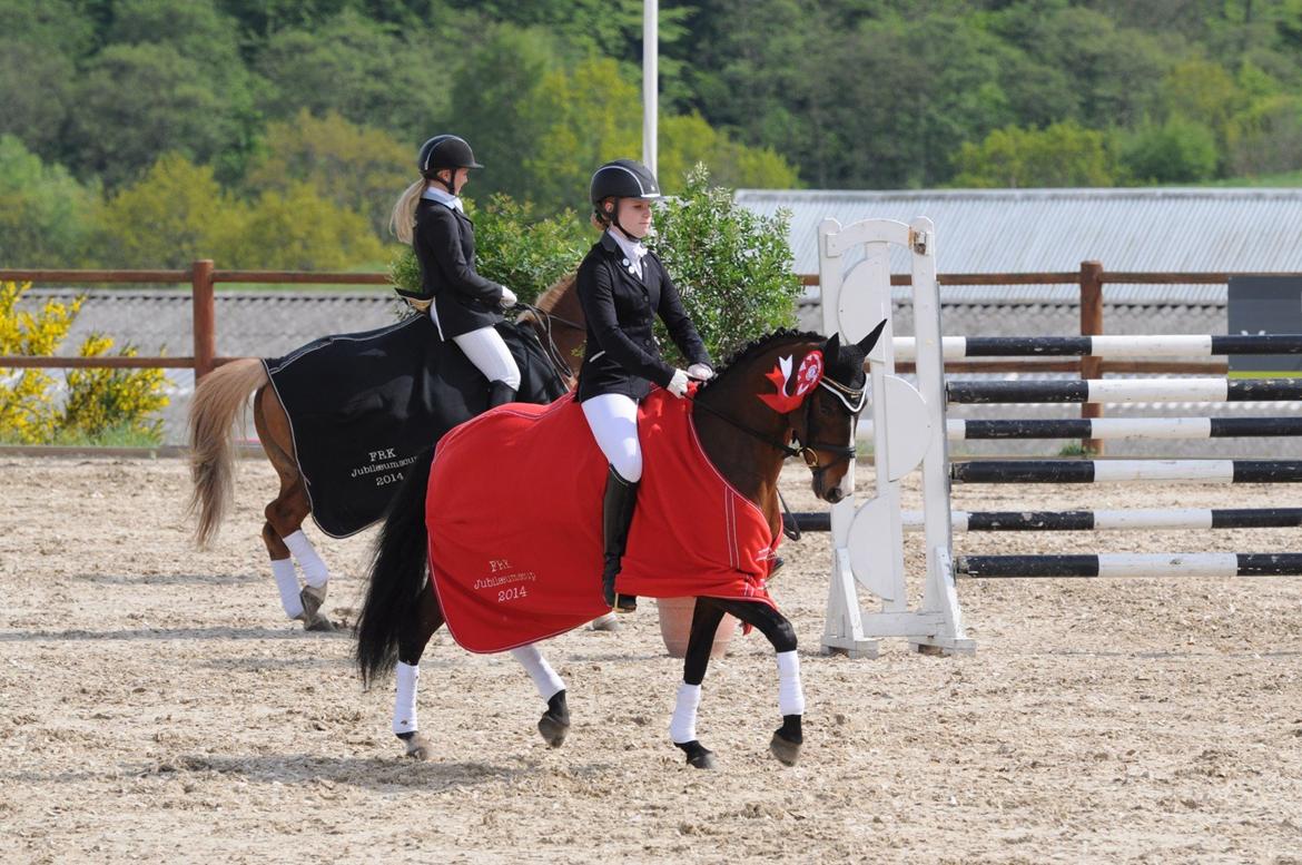 DSP ATINA KÆRLUND ***  A- PONY** billede 18