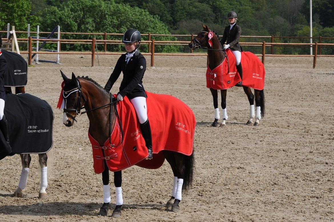 DSP ATINA KÆRLUND ***  A- PONY** billede 20