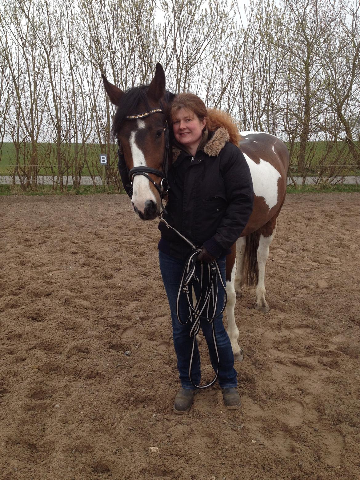 Irish Cob Crossbreed Willson Mc Caffee - Mig og min basse efter longearbejde. Forår 2014 billede 14