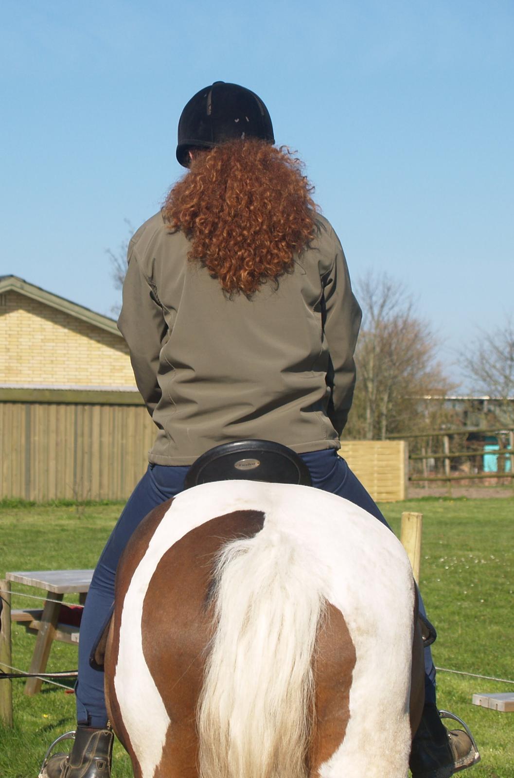 Irish Cob Crossbreed Willson Mc Caffee - Willson og jeg. Lidt skæv er man vel altid. :D billede 15