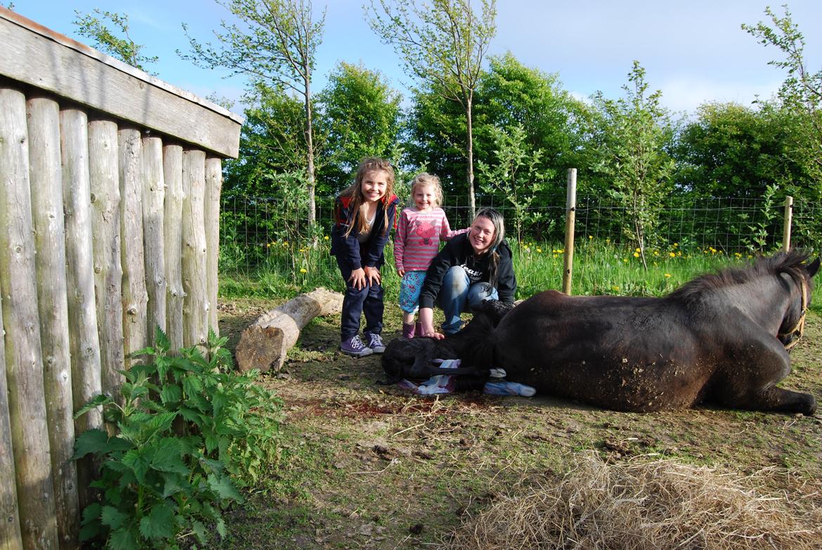 Anden særlig race Hmsogwestern's Infinity billede 7