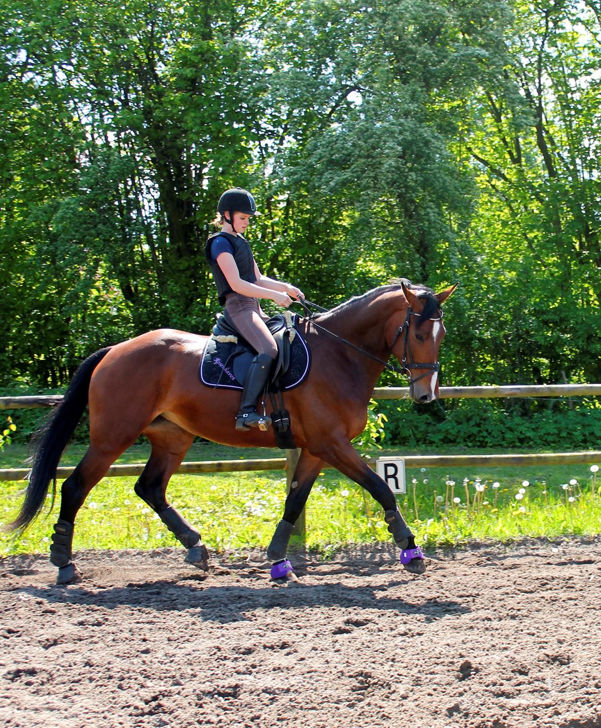 Oldenborg Rosenhavens Flora - Min stjerne <3 billede 2