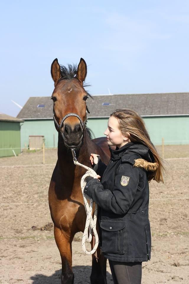 DSP Thorups's De-Venti billede 11