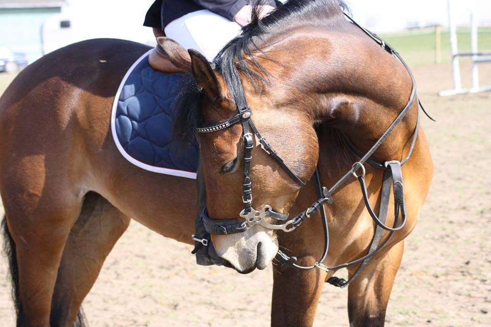 DSP Thorups's De-Venti billede 15