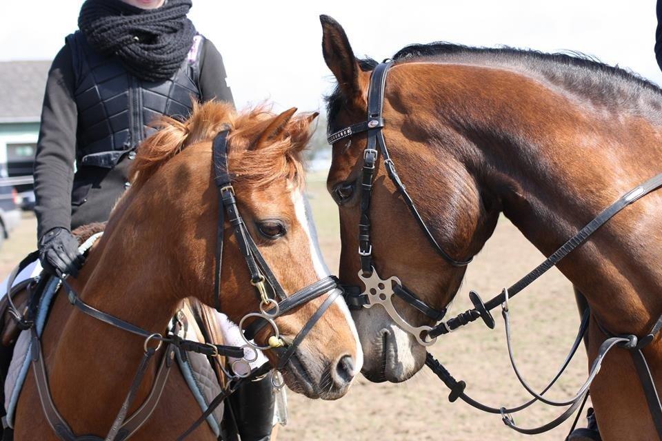 DSP Thorups's De-Venti billede 13