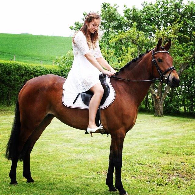 DSP Thorups's De-Venti billede 2