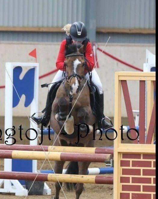 Anden særlig race Simba  billede 10