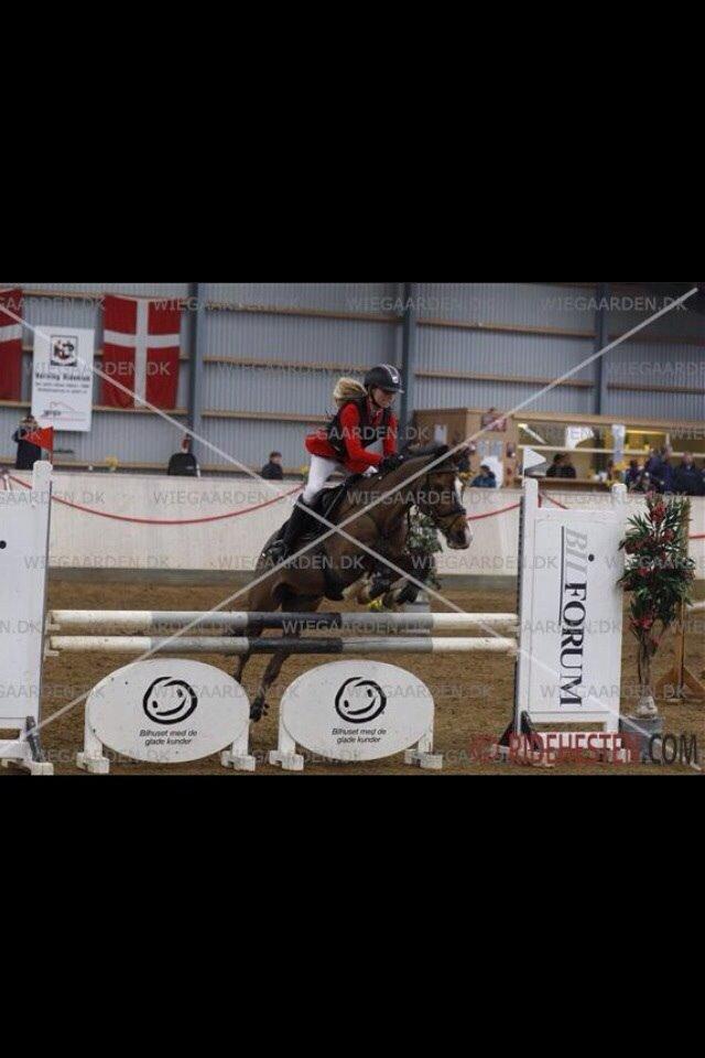 Anden særlig race Simba  billede 11