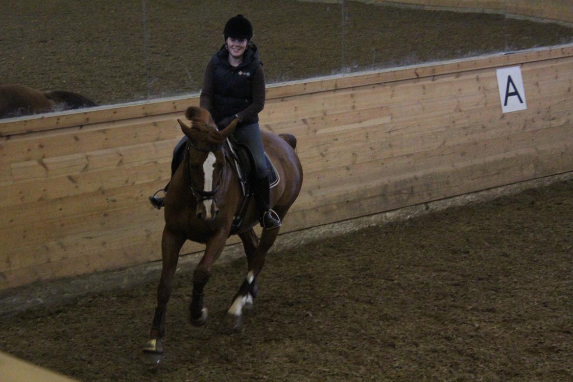 Dansk Varmblod Red Passion - Træning d. 6. april 2014 - vi er ved at få godt styr på galopanspringene :-) Foto: Esther billede 10