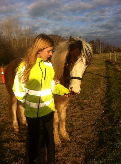 Pinto Baldur"SOLGT` billede 24