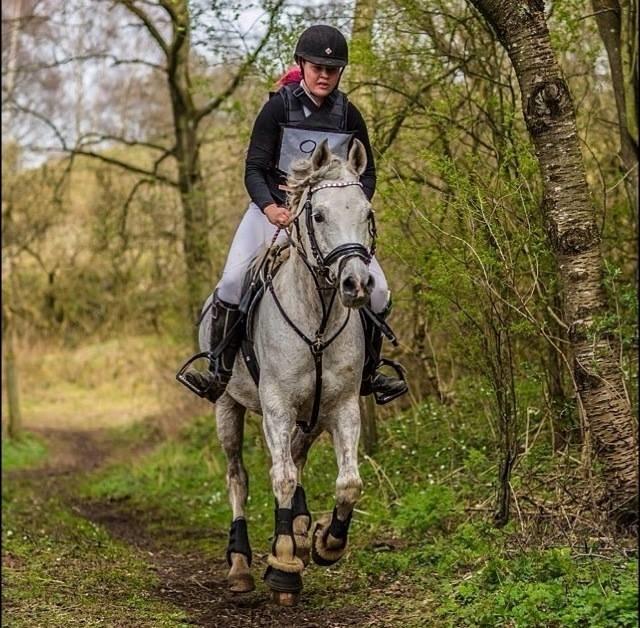 Arabisk fuldblod (OX) Shaklan Ibn Saskatoon - Mia Koch og Shaklan i en cnc80, på vej hjem. Træt hest og rytter (o; billede 15