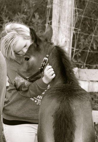 Traver Ankerstjerne M T billede 1