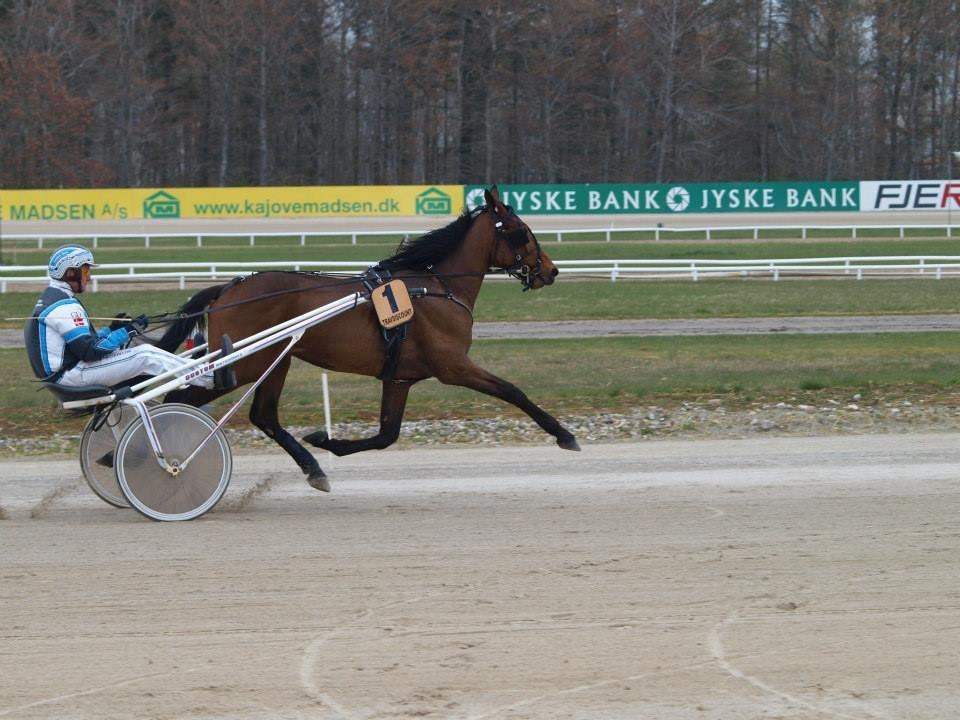 Traver Ankerstjerne M T - Fremvisningsløb den 17 April 2014 :-) billede 7