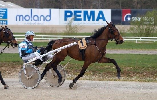 Traver Ankerstjerne M T - Gordon Dahl & Ankerstjerne i fremvisningsløb den 17 April 2014 :-). billede 5