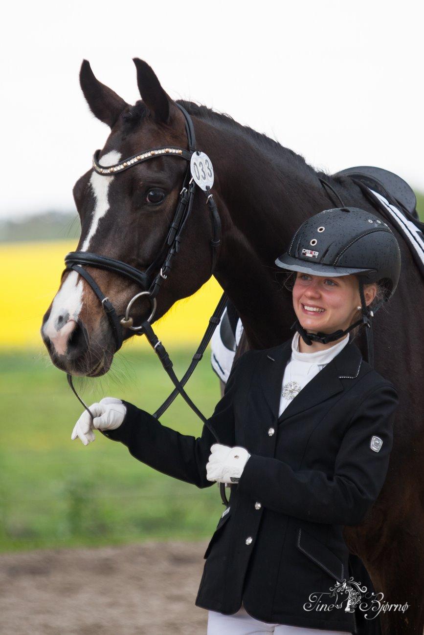 Dansk Varmblod Fiona Melody billede 11