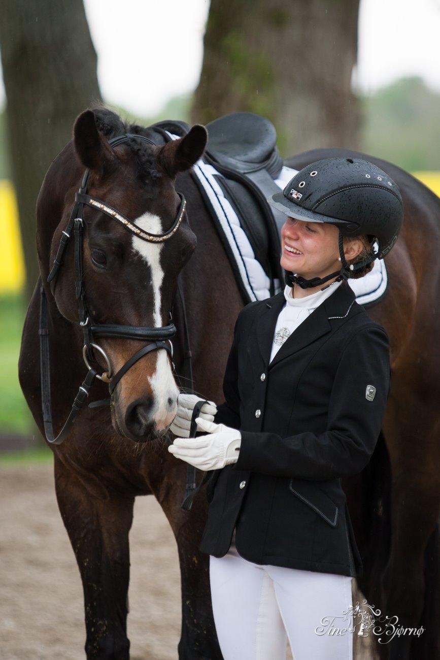 Dansk Varmblod Fiona Melody billede 1