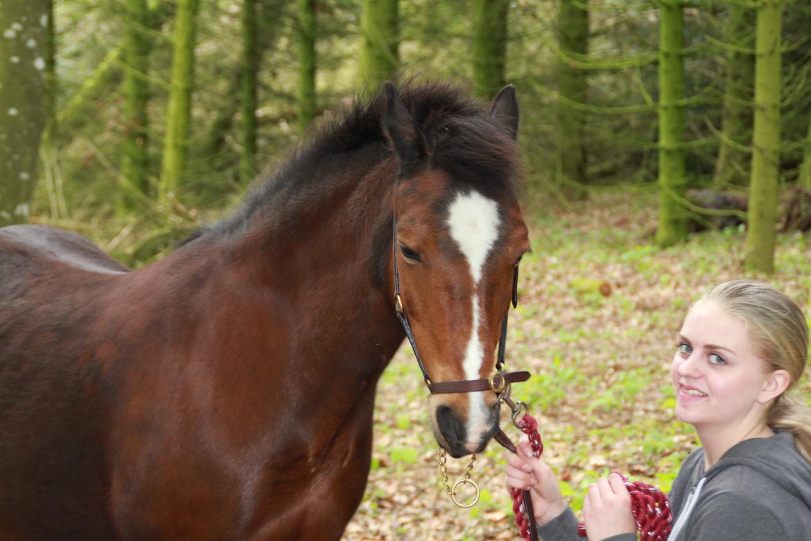 Anden særlig race Lady <3 billede 18