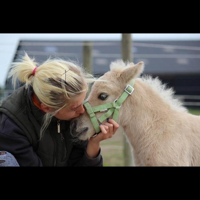 Anden særlig race Ranger Roy - Roy ti dage  billede 1
