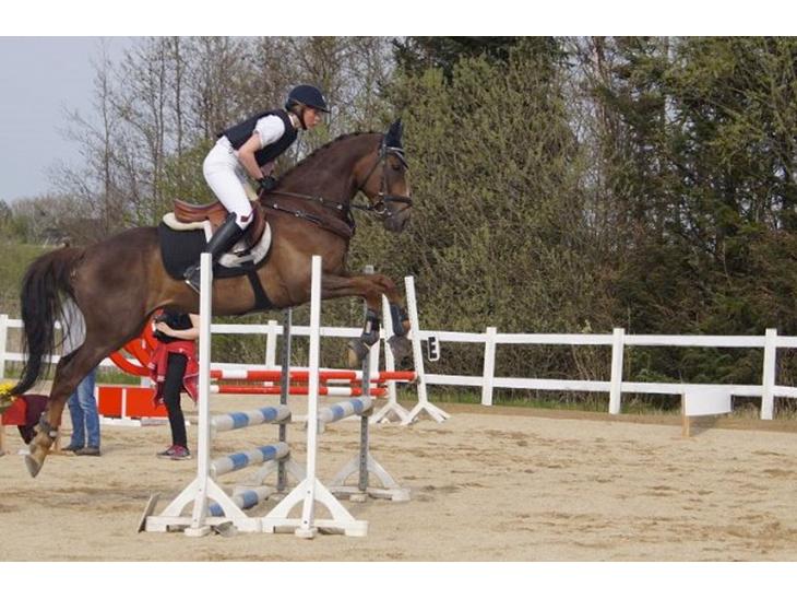 {{currentPhoto.altText}} billede {{currentPhoto.number}}