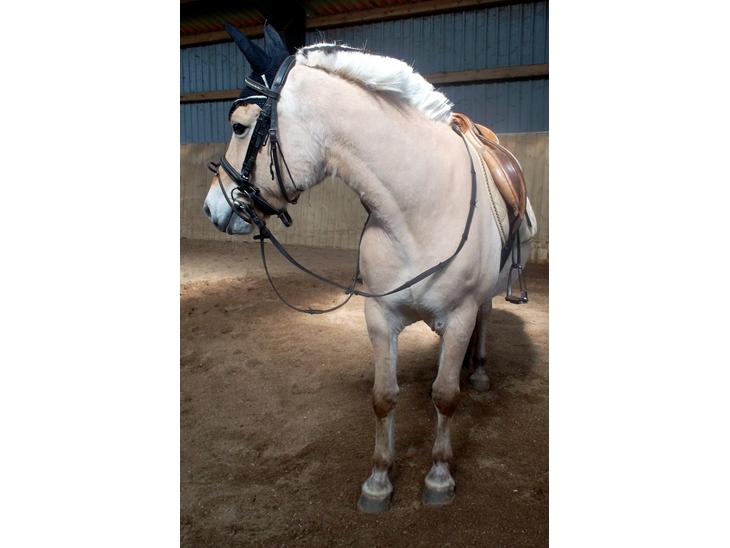 {{currentPhoto.altText}} billede {{currentPhoto.number}}